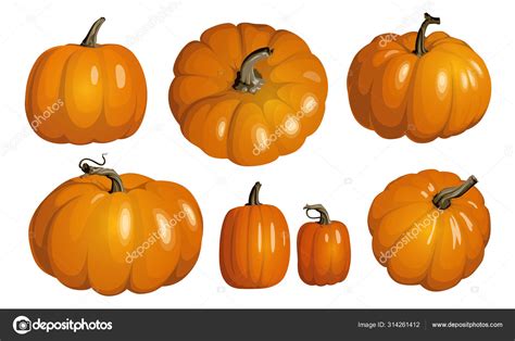 Orange Pumpkin Isolated On White Realistic Vector Pumpkins Set Of