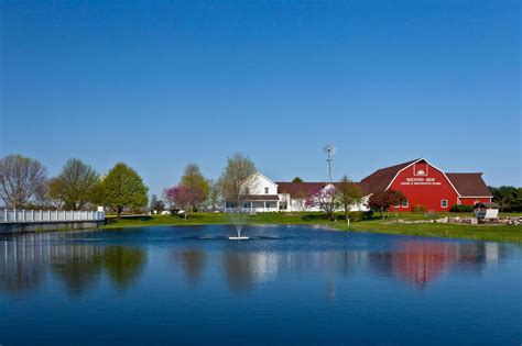 Amish Swimming (A Lifestyle Guide) — Amish Baskets