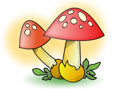 Fungi clipart - Clipground