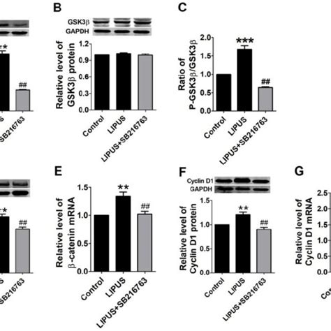 Effect On Cell Viability By Inhibitor Sb A The Cell Viability