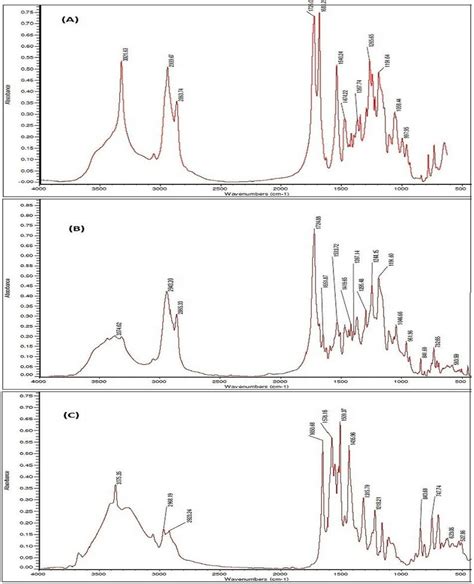 Fourier Transform Infrared Radiation Ftir Spectra Ftir Spectra Of