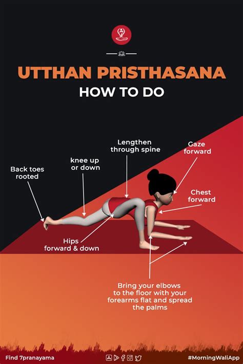 Utthan Pristhasana Steps Of Lizard Pose Benefits And More Learn