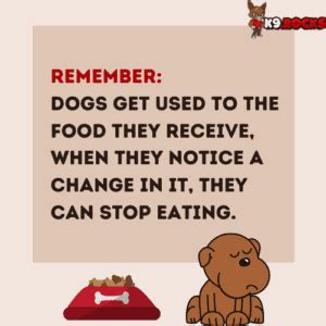 how to switch dog food without diarrhea