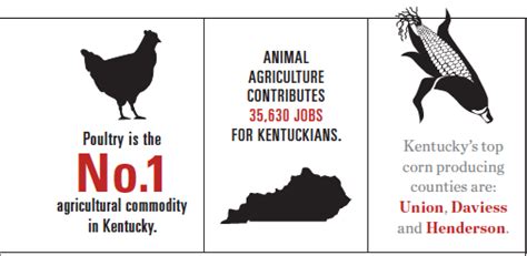 Kentucky Agriculture Overview - Farm Flavor