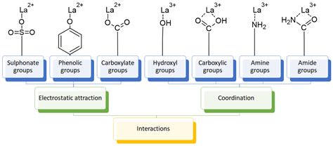 Polymers Free Full Text Rare Earth Elements Uptake By Synthetic