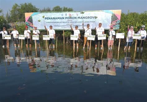 FKIJK Jawa Timur Tanam 1500 Bibit Mangrove Di Kebun Raya Mangrove