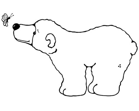 Desenhos De Urso Polar Para Colorir Pintar E Imprimir Colorironline