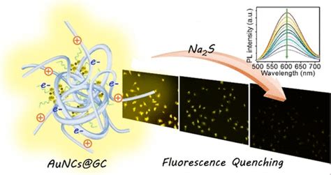 Full Range PH Stable Au Clusters In Nanogel For Confinement Enhanced