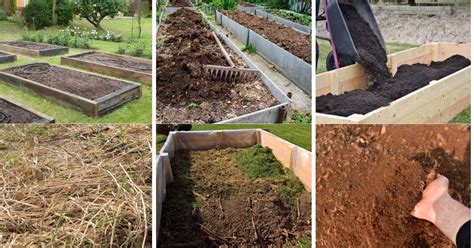 What Is The Cheapest Way To Fill A Raised Garden Bed At Claire Smalling Blog