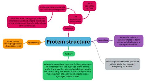 Protein Concept Map Template Edrawmind