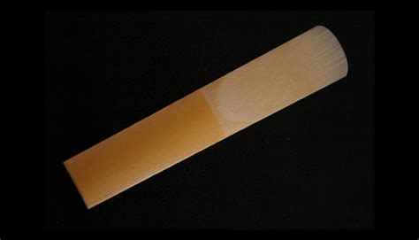 Single Reed Instruments Questions And Answers Band Director Media Group