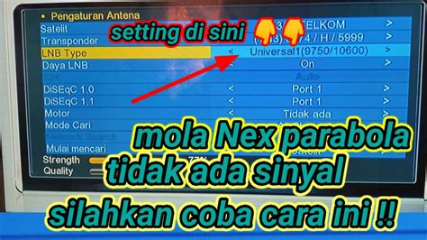 Cara Mudah Setting Mola Nex Parabola Tidak Ada Sinyal Youtube