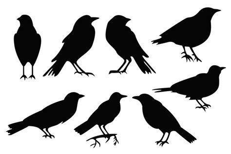 Set Of Crows Clipart Crow Silhouette Vector Illustrations