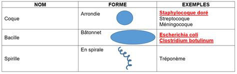 Tableau De Classification Des Micro Organisme