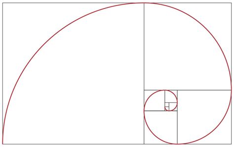 Fibonacci spiral. Golden ratio 11443479 Vector Art at Vecteezy