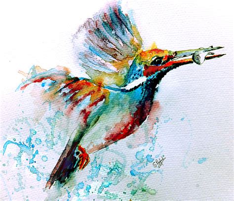 Kingfisher By Steven Ponsford