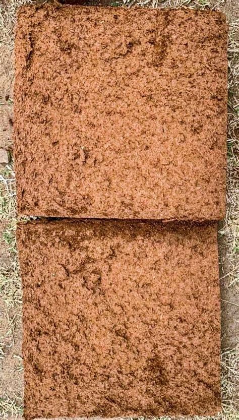 Rectangular Brown Coco Peat Block At Rs Piece In Pollachi Id