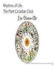 Ls Circadian Clocks Pdf Rhythms Of Life The Plant Circadian