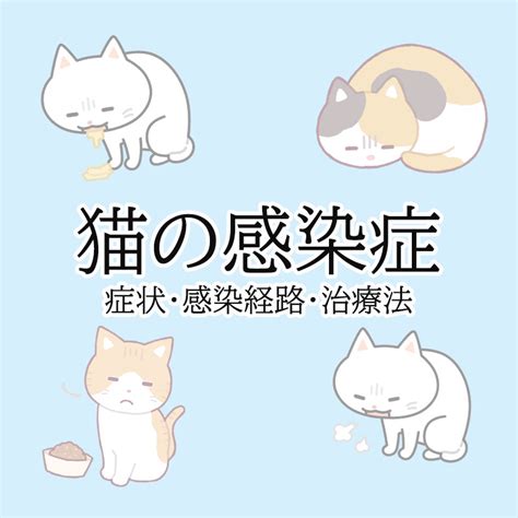 【獣医師監修】猫が発症する感染症の種類とは？症状や対策をご紹介