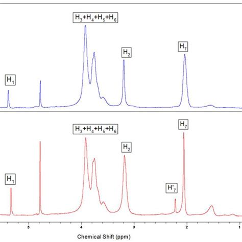 Proton nuclear magnetic resonance ¹H NMR spectra of a WISCHT and