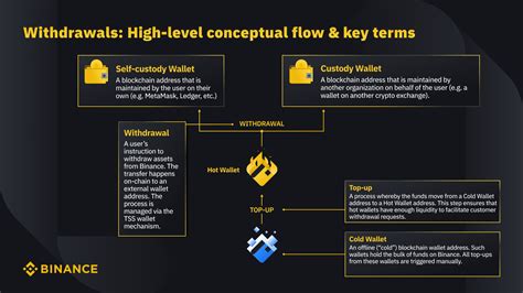 How And Why Assets Move Between Binance Wallets Binance Blog