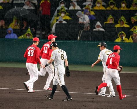 阪神 4点加えた六回攻撃中に降雨中断 佐藤輝の走者一掃三塁打で7点リード阪神タイガースデイリースポーツ Online