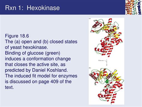 Ppt Chapter 18 Glycolysis Powerpoint Presentation Free Download Id6237852