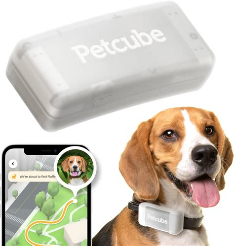 Amazon.com: Petcube GPS Tracker for Dogs | Pet GPS Location Tracker ...