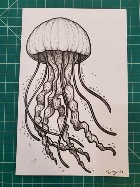 Jellyfish Drawing By Sara Riley