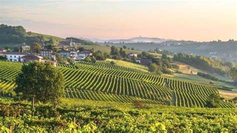 Lange DOC Wine Region, Piedmont, Northwestern Italy