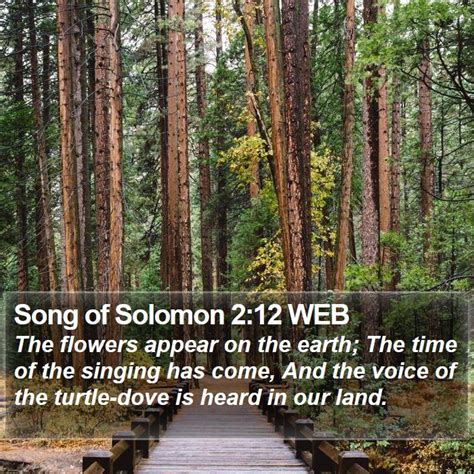 Song Of Solomon Web Scriptures Images