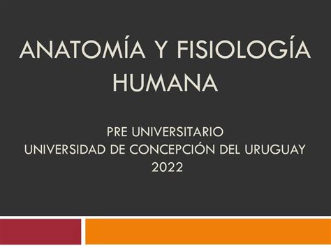 Anatomía Y Fisiología Humana Nere Schneider Kunzke Udocz