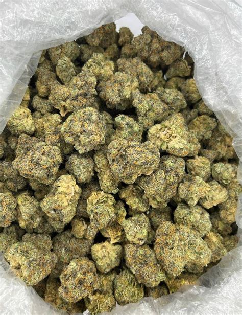 Buy Strawberry Cough Strain Online The Gas Gardens