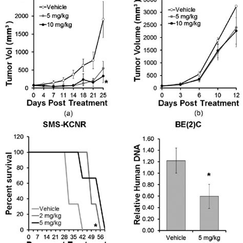 YM155 Inhibits Tumor Growth And Metastasis In Vivo Nude Mice