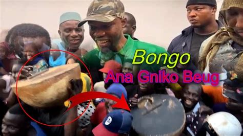 Insolite Ousmane Sonko Danse Au Rhythme Des Bongo Ana Gniko Beug