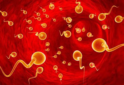 8 Best And Effective Ways To Increase Sperm Motility In Men