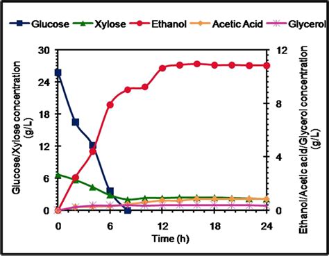 Separate Hydrolysis And Fermentation Of Dilute H So Pretreated Scb