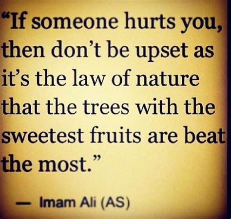 163 Best Imam Ali Quotes Images On Pinterest Imam Ali Quotes Islamic