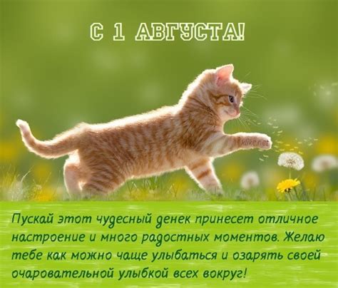 С 1 августа: 100+ красивых картинок и открыток | Klike.net