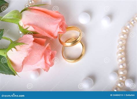 Wedding Ring & Rose Royalty Free Stock Photo - Image: 24484215