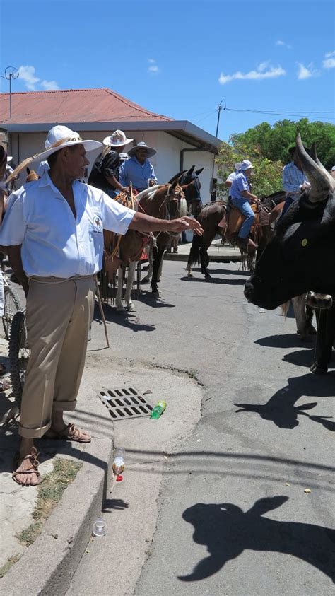 Bulls, pomp and Guanacaste culture: The 100-year history of this week's Liberia festivals ...