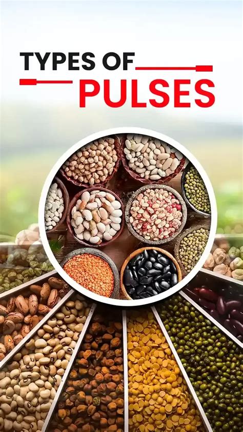 Top 5 Different Types Of Pulses