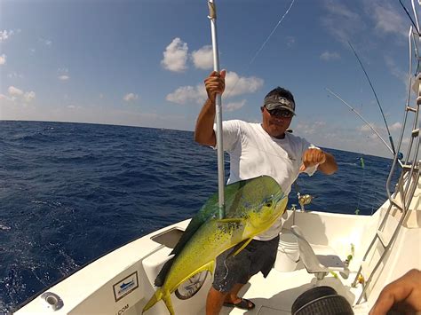 MAHI MAHI FISHING CANCUN Dolphin Fish Dorado Fishing IN CANCUN