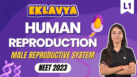 Human Reproduction Part 1 Eklavya Batch Neet 2023 Umeed Neet Ug Youtube