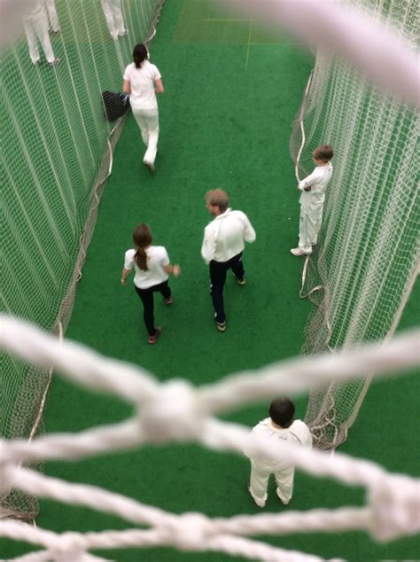 Indoor cricket practice | Cricket, Indoor, Animals