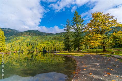 Autumn Forest On The Riverside Marvel At Amazing Views Of The Silver