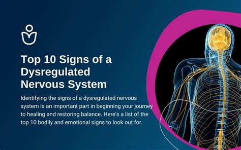 Top 10 Signs Of A Dysregulated Nervous System