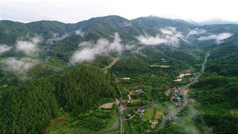 광양 백운산 휴양림 코로나19 확산에 임시 휴장 노컷뉴스