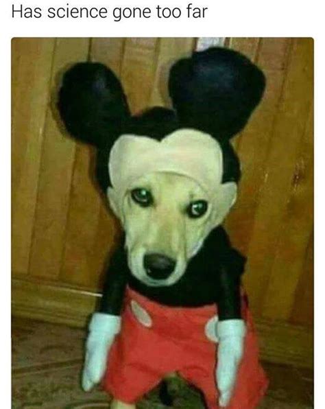 Mickey Mouse Brain Meme