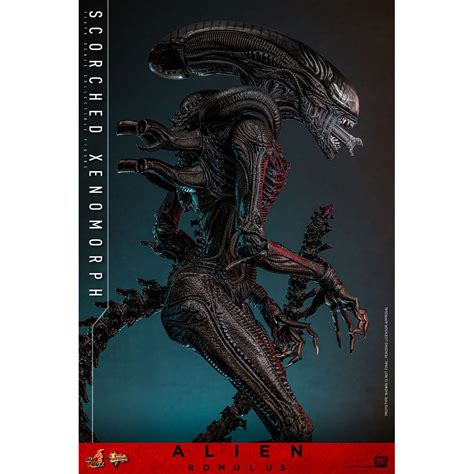 Hot Toys Alien Romulus Scorched Xenomorph MMS Figurine